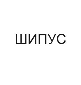 Товарный знак №1079785, принадлежит организации Общество с ограниченной ответственностью "Ремшип", ОГРН 1167847078134, ИНН 7802562568