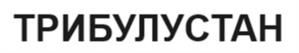 Товарный знак №1081142, принадлежит организации Общество с ограниченной ответственностью «Интер-С», ОГРН 5107746011654, ИНН 7701900066
