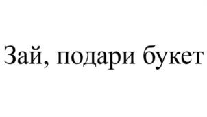 Товарный знак №1081607, принадлежит ИП Шайдуллина Диана Радиковна, ОГРНИП 322028000173341, ИНН 25100254868