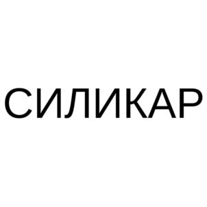 Товарный знак №1084051, принадлежит организации Общество с ограниченной ответственностью "КАРНИ", ОГРН 1210200027839, ИНН 264079934