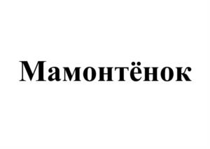 Товарный знак №1084999, принадлежит правообладателю Симонова Надежда Владимировна, ОГРН 0, ИНН 691102083273