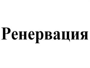 Товарный знак №1085278, принадлежит организации Общество с ограниченной ответственностью «СПЕЙС», ОГРН 1227700245354, ИНН 9705169429