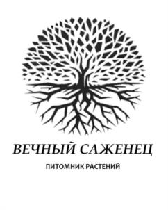 Товарный знак №1086182, принадлежит ИП АНДРОСОВ АНАТОЛИЙ ВИКТОРОВИЧ, ОГРНИП 324330000001617, ИНН 330576731574