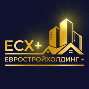 Товарный знак №1087017, принадлежит организации Общество с ограниченной ответственностью "ЕВРОСТРОЙХОЛДИНГ+", ОГРН 1101690004701, ИНН 1655187714