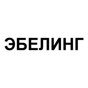 Товарный знак №1087750, принадлежит ИП Эбелинг Роман Владимирович, ОГРНИП 304222122400073, ИНН 222106589701