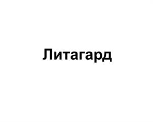 Товарный знак №1087845, принадлежит организации Общество с ограниченной ответственностью Группа компаний "Литум", ОГРН 1236600009887, ИНН 6685208470