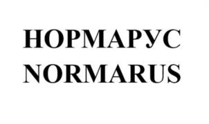 Товарный знак №1089061, принадлежит организации Общество с ограниченной ответственностью «НОРМА-РУС», ОГРН 1187847100099, ИНН 7805725549