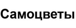 Товарный знак №1089444, принадлежит организации Общество с ограниченной ответственностью Комбинат «Дубки», ОГРН 1026401183841, ИНН 6432013128