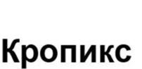 Товарный знак №1090149, принадлежит организации Общество с ограниченной ответственностью «Кропикс», ОГРН 1097746397462, ИНН 7733705004