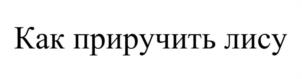 Товарный знак №1092042, принадлежит организации Общество с ограниченной ответственностью «Окко», ОГРН 1167847381130, ИНН 7814665871