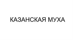 Товарный знак №1094074, принадлежит ИП Вдовин Сергей Николаевич, ОГРНИП 304165525400081, ИНН 165502019284