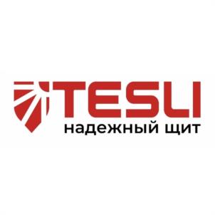 Товарный знак №1094363, принадлежит организации Акционерное общество "ТЕСЛИ", ОГРН 1047796106269, ИНН 7723505528