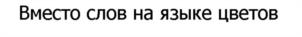 Товарный знак №1095089, принадлежит ИП Косова Татьяна Александровна, ОГРНИП 320502700009257, ИНН 211579214203