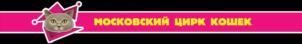 Товарный знак №1095109, принадлежит правообладателю Бордовских Георгий Валерьевич, ОГРН 0, ИНН 564903245339