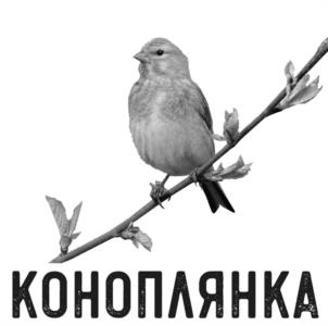 Товарный знак №1095393, принадлежит организации Общество с ограниченной ответственностью "МКР", ОГРН 1157746300634, ИНН 7723385475