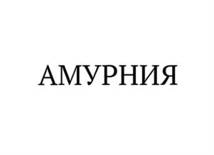 Товарный знак №1095882, принадлежит правообладателю Михайлова Наталья Николаевна, ОГРН 0, ИНН 280803166850
