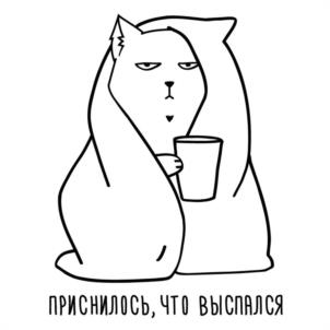 Товарный знак №1096144, принадлежит ИП Ковалев Дмитрий Викторович, ОГРНИП 319325600037287, ИНН 324103648225