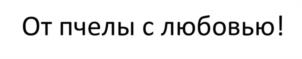 Товарный знак №1096774, принадлежит организации Общество с ограниченной ответственностью "Группа предприятий "КИТ", ОГРН 1095903001336, ИНН 5903093132