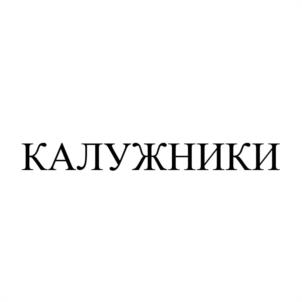 Товарный знак №1097523, принадлежит организации Общество с ограниченной ответственностью «СПОРТ ПАРК», ОГРН 1214000006439, ИНН 4027146935
