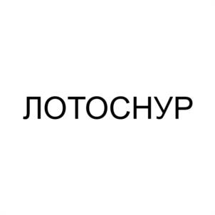 Товарный знак №1097529, принадлежит организации ОБЩЕСТВО С ОГРАНИЧЕННОЙ ОТВЕТСТВЕННОСТЬЮ "СВЯЗЬ-СЕРВИС И К", ОГРН 1058900623726, ИНН 8904046170