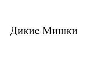Товарный знак №1097804, принадлежит ИП Резепкин Олег Юрьевич, ОГРНИП 316745600070933, ИНН 744509317316