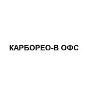 Товарный знак №1099309, принадлежит организации Акционерное общество "Технологии ОФС", ОГРН 1027739299961, ИНН 7714024384