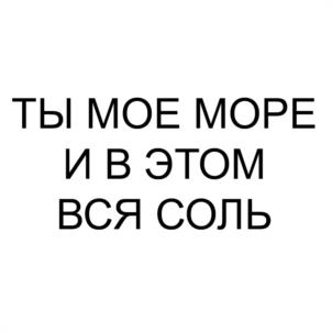 Товарный знак №1099699, принадлежит ИП Дикая Анна Дмитриевна, ОГРНИП 322237500246383, ИНН 232508294165