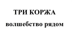 Товарный знак №1099761, принадлежит ИП Штурова Наталья Васильевна, ОГРНИП 312246803800133, ИНН 246501512795