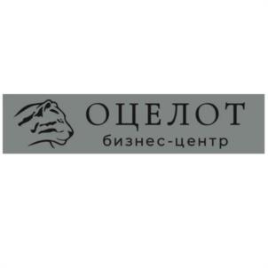 Товарный знак №1100032, принадлежит организации Общество с ограниченной ответственностью "ОРСК", ОГРН 1027804909021, ИНН 7810227154