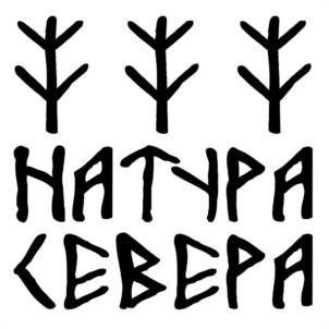 Товарный знак №1101541, принадлежит организации Общество с ограниченной ответственностью "ПВМ ЭКСПРЕСС КУРЬЕР СЕРВИС", ОГРН 1191001004644, ИНН 1001341510