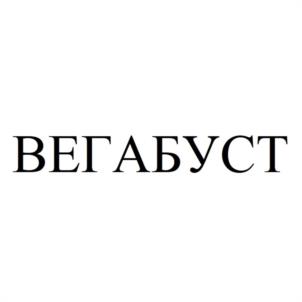 Товарный знак №1101909, принадлежит организации Общество с ограниченной ответственностью "ВЕГАБУСТ", ОГРН 1245000026578, ИНН 5045071755