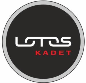 Товарный знак №1103147, принадлежит организации Общество с ограниченной ответственностью «Автомобильный завод РариТЭК», ОГРН 1061682047570, ИНН 1639034870