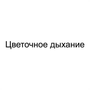 Товарный знак №1104403, принадлежит организации ОБЩЕСТВО С ОГРАНИЧЕННОЙ ОТВЕТСТВЕННОСТЬЮ "ЦВЕТОЧНОЕ ДЫХАНИЕ", ОГРН 1235400008040, ИНН 5403076298