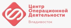 Товарный знак №1105549, принадлежит организации Общество с ограниченной ответственностью "ЦОД ВЛАДИВОСТОК", ОГРН 1232500021654, ИНН 2543177822