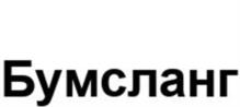 Товарный знак №1105727, принадлежит организации Общество с ограниченной ответственностью "Шанс", ОГРН 1093668046812, ИНН 3661048335