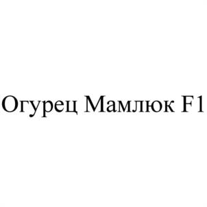 Товарный знак №1107780, принадлежит ИП Гавриш Сергей Федорович, ОГРНИП 316774600266120, ИНН 771501277190