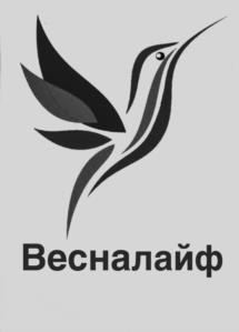 Товарный знак №1110314, принадлежит организации Общество с ограниченной ответственностью "ВЕСНА", ОГРН 1196952017910, ИНН 6949113425