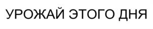 Товарный знак №1110645, принадлежит правообладателю Тришин Сергей Борисович, ОГРН 0, ИНН 772427958040