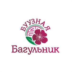 Товарный знак №1110896, принадлежит организации Общество с ограниченной ответственностью "БУУЗНАЯ БАГУЛЬНИК", ОГРН 1097847156549, ИНН 7804416202
