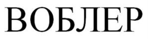 Товарный знак №1113613, принадлежит ИП Денисов Владимир Николаевич, ОГРНИП 316784700327713, ИНН 782615153319