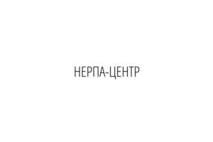 Товарный знак №1113931, принадлежит организации Федеральное государственное бюджетное учреждение «Объединенная дирекция Баргузинского государственного природного биосферного заповедника и Забайкальского национального парка» (ФГБУ "Заповедное Подлеморье", ОГРН 1120327008251, ИНН 301200525
