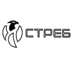 Товарный знак №1115433, принадлежит организации Общество с ограниченной ответственностью "СТАНУ РЕШЕНИЕМ БУДУЩЕГО", ОГРН 1245500002516, ИНН 5528053426