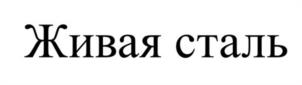 Товарный знак №1116862, принадлежит ИП Савельев Владислав Иванович, ОГРНИП 320547600113531, ИНН 540123666336