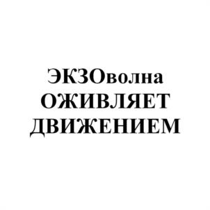 Товарный знак №1117516, принадлежит ИП Шадская Тамара Ивановна, ОГРНИП 316715400124165, ИНН 711702565288