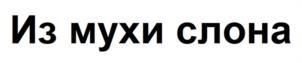 Товарный знак №1117883, принадлежит организации Открытое акционерное общество «Моя Планета», ОГРН 1097746592921, ИНН 7714790212