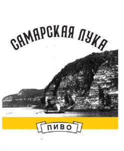 Товарный знак №1118088, принадлежит организации Общество с ограниченной ответственностью "Лада Фуд Технолоджи", ОГРН 1176313022566, ИНН 6324079869
