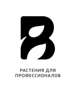 Товарный знак №1118538, принадлежит ИП Суседенко Владислав Витальевич, ОГРНИП 317910200110025, ИНН 910516288432