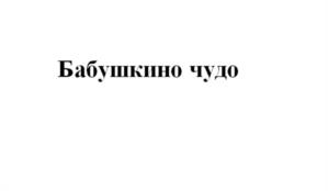 Товарный знак №1118987, принадлежит ИП Киндрачук Татьяна Николаевна, ОГРНИП 304246535700175, ИНН 246500228446
