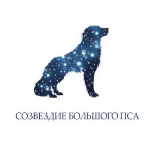 Товарный знак №1118996, принадлежит организации Общество с ограниченной ответственностью «НАТВ», ОГРН 1107746310693, ИНН 7704752338