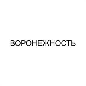 Товарный знак №1119507, принадлежит ИП РЫЖОВ ОЛЕГ АНДРЕЕВИЧ, ОГРНИП 323366800095690, ИНН 366408541606
